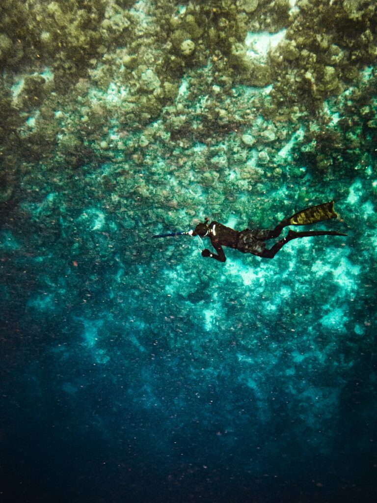 A scuba diver explores the underwater world.