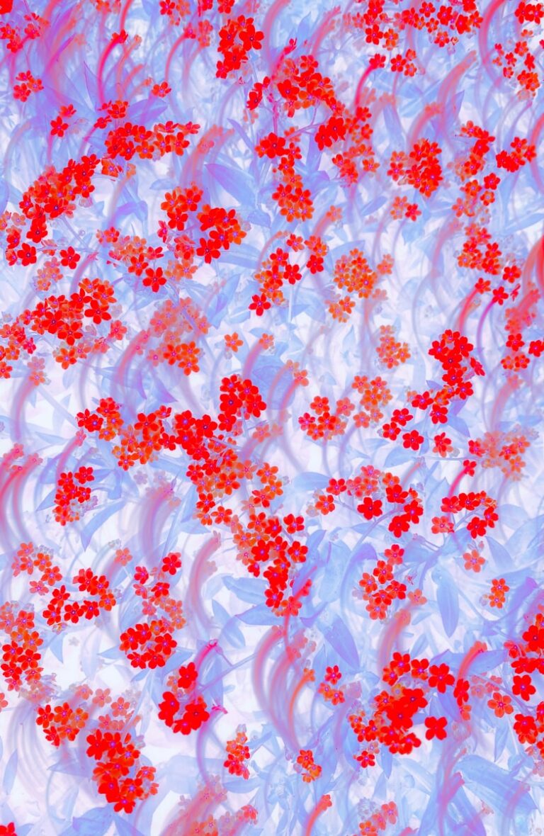 Red flowers on a blue and white background.