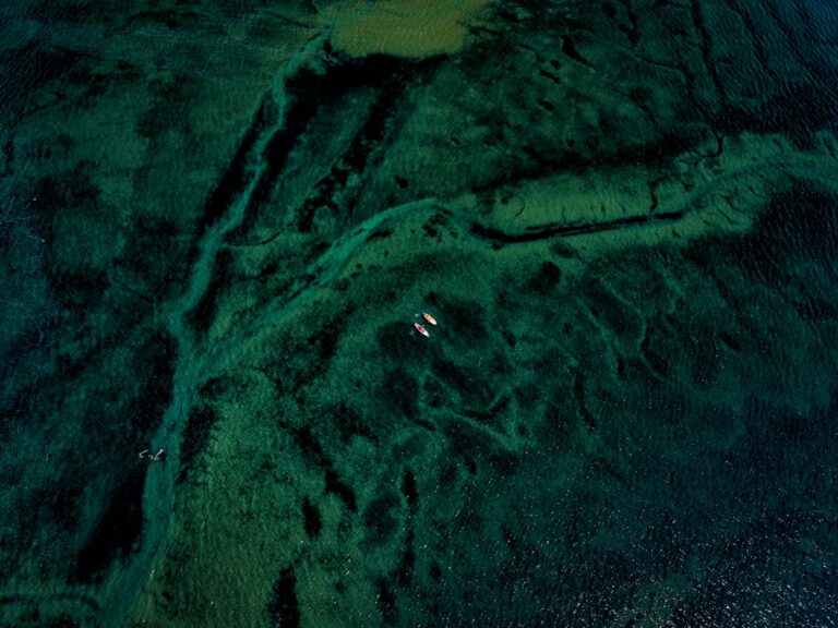 Aerial view of vibrant green and blue waters.