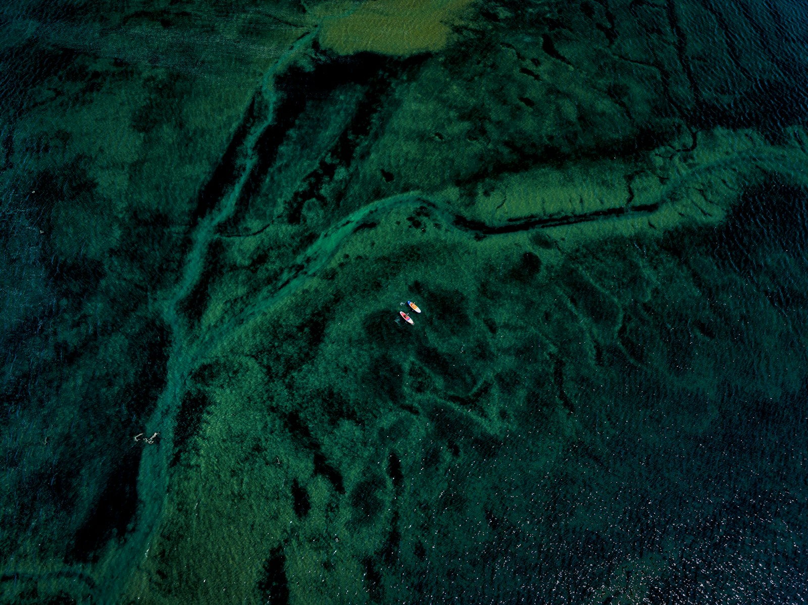 Aerial view of vibrant green and blue waters.