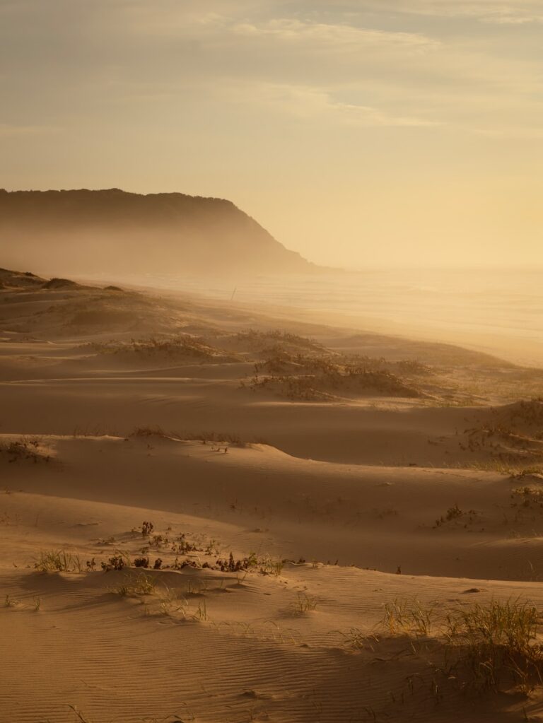 Sandy dunes with misty ocean and distant hills.