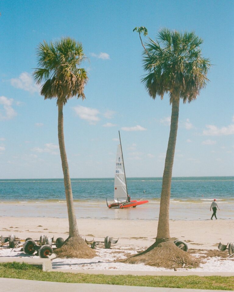 Two palm trees on a beach with a sailboat