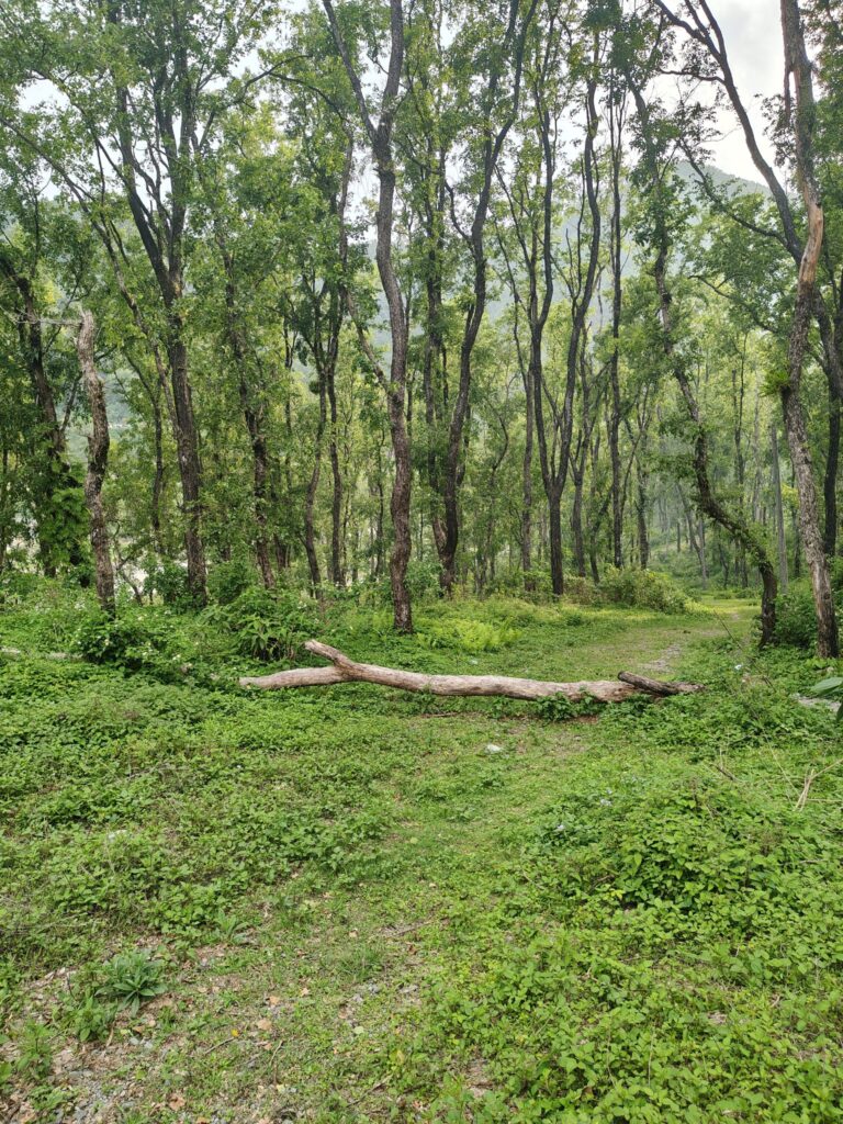 LinkedIn Instant Share